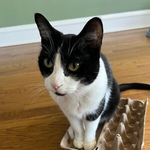 Meet your Posher, Madelyn